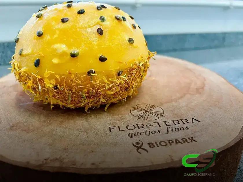 Queijo Paranaense com Maracujá: O Prêmio Mundial que Você Precisa Conhecer