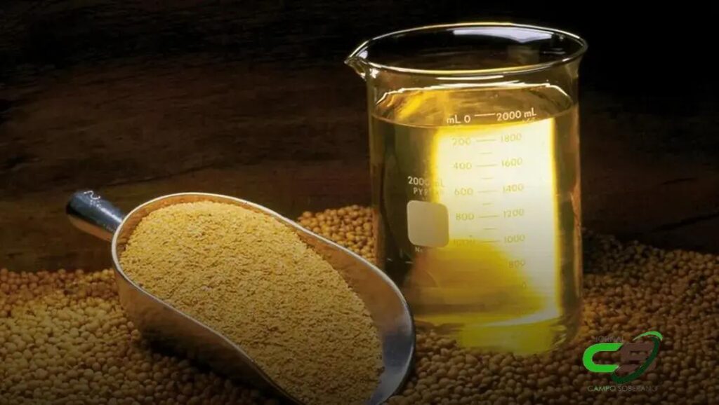 Receita de Exportações de Grãos e Derivados da Argentina Cresce 27% em 2024