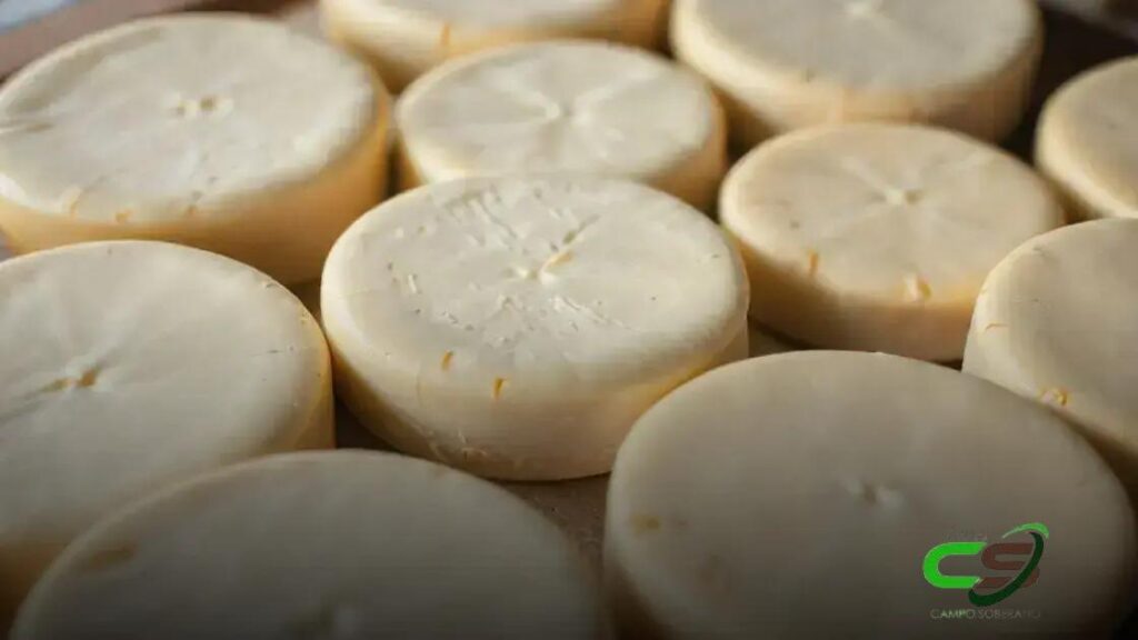 Revolução nas Queijarias Artesanais: Minas Gerais Simplifica Registro