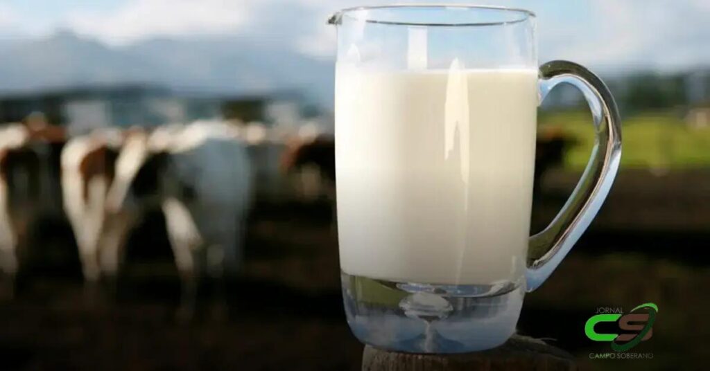 Sindilat: Apoio à Investigação de Dumping no Leite e Seus Impactos