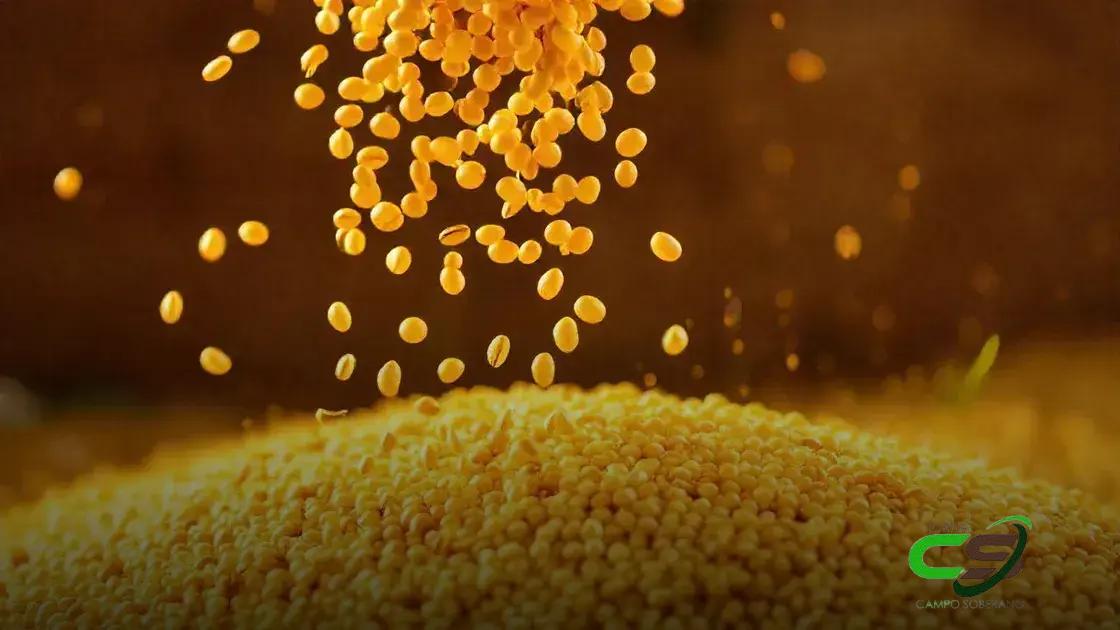 Soja Alta: O Que Esperar do Mercado em 2025?