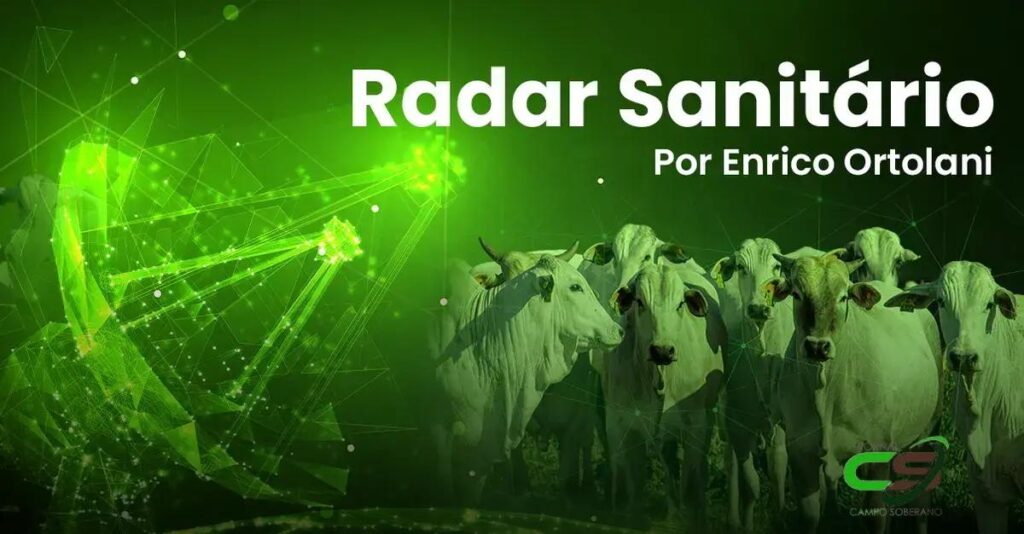 Surto de Brônquio-Pneumonia: Impacto nos Boitéis de SP