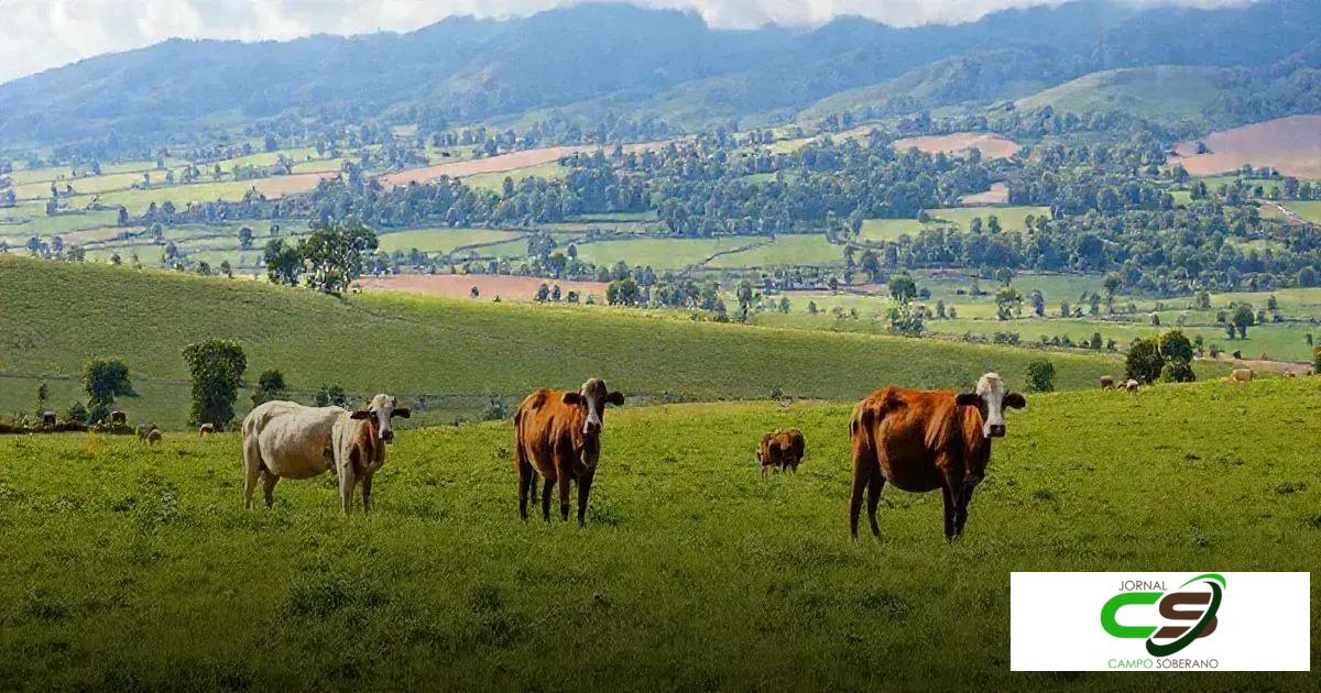 Zootecnia: O que é e como pode transformar sua produção agrícola