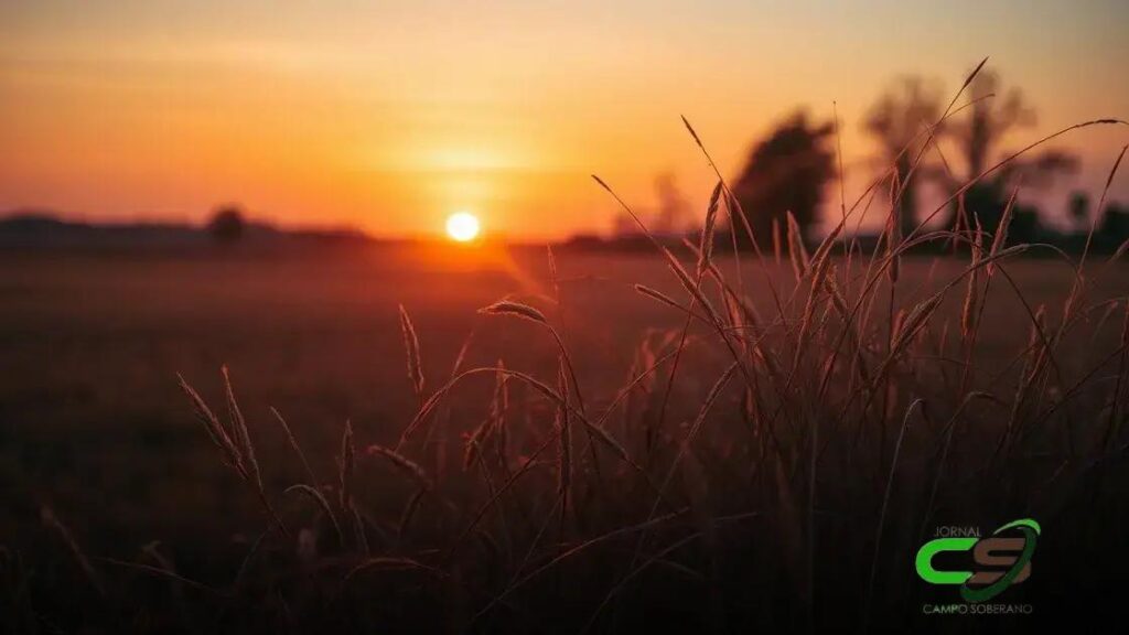 Onda de Calor: 10 Estados no Brasil Que Derretem Agora! 2 Onda de Calor: 10 Estados no Brasil Que Derretem Agora!