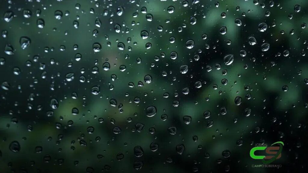 Previsão do Tempo: Prepare suas Lavouras de Soja Agora!