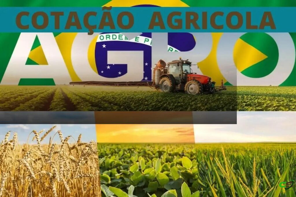 Cotação do milho e soja em várias regiões do Brasil no dia 17/04/2025