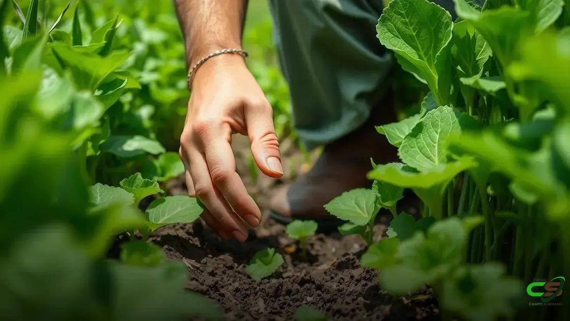 Elementos químicos fósforo: 7 fatos essenciais que todo produtor precisa saber