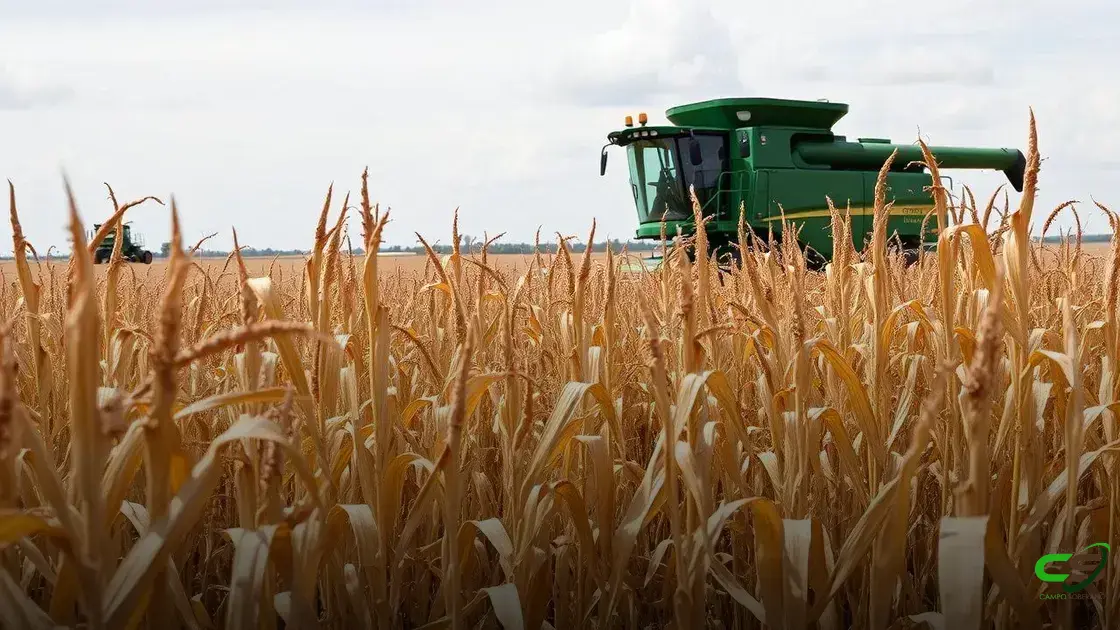 Ação na Justiça questiona cartel das exportações de soja em Mato Grosso