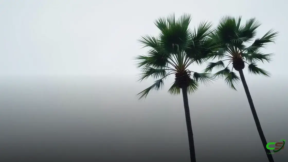 Alertas de chuva e impacto climático no agronegócio brasileiro