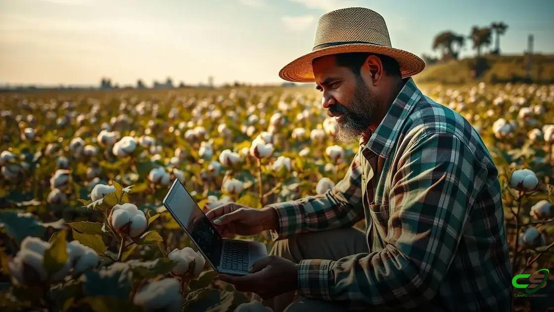Algodão cepea: 5 dicas para melhorar sua produção e economizar no campo