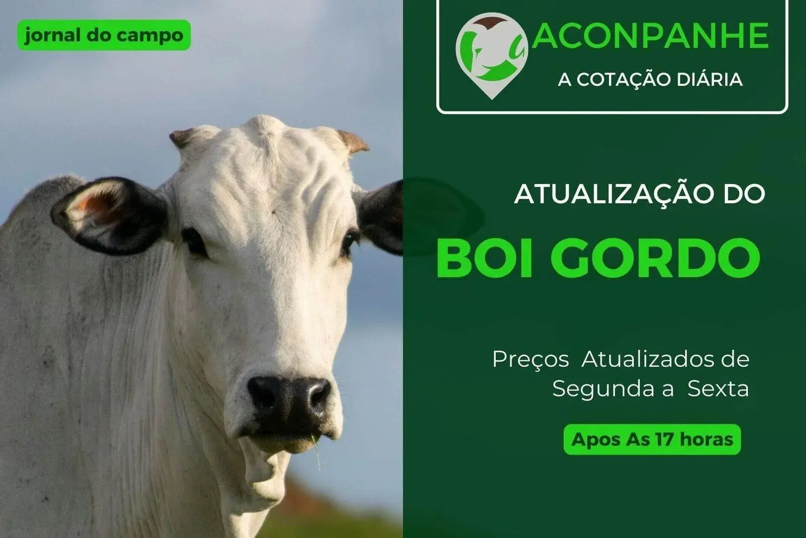 Análise do mercado de boi gordo: preços, tendências e estratégias de mercado 6 Análise do mercado de boi gordo: preços, tendências e estratégias de mercado