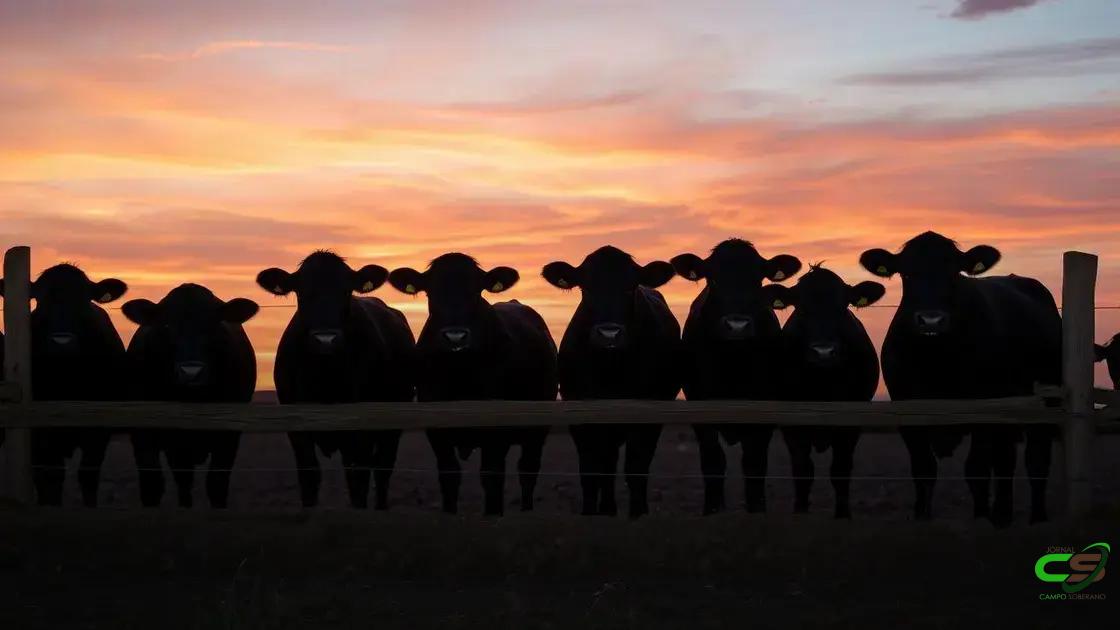 Animais transgênicos: salmão que cresce rápido e gado resistente ao calor