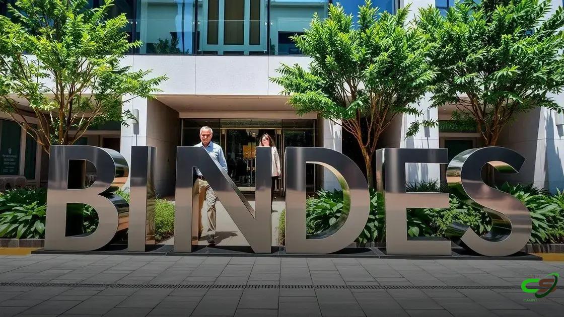 BNDES aprova R$ 29,7 bilhões em crédito no Plano Safra 2024/25 para o agronegócio