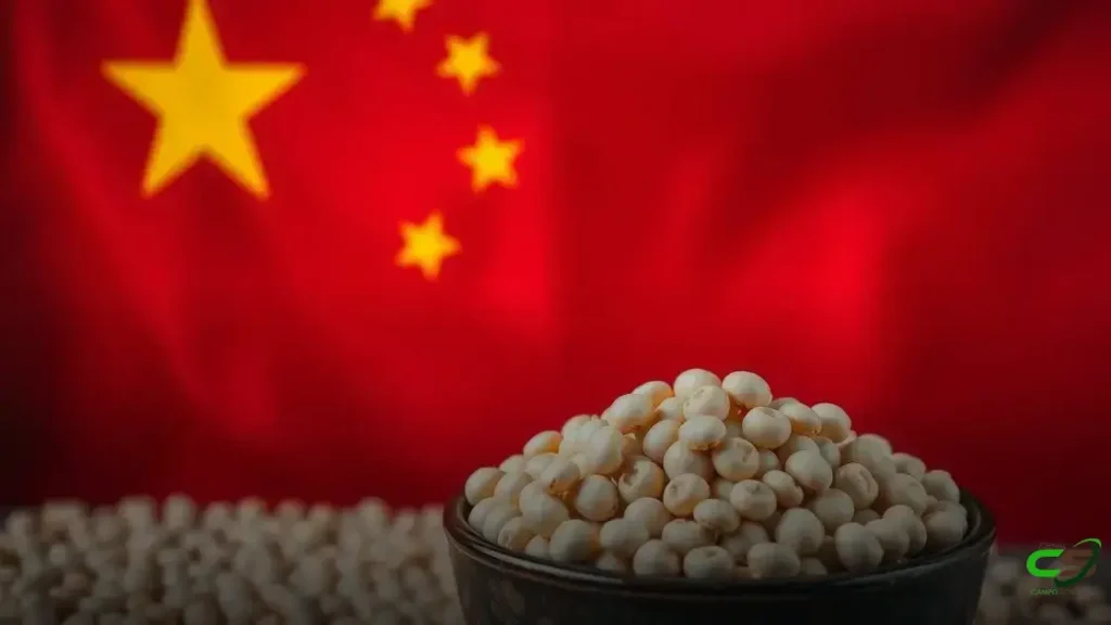 Brasil impulsiona exportações de soja após tarifas dos EUA e aprofunda protagonismo no mercado chinês 5 Brasil impulsiona exportações de soja após tarifas dos EUA e aprofunda protagonismo no mercado chinês