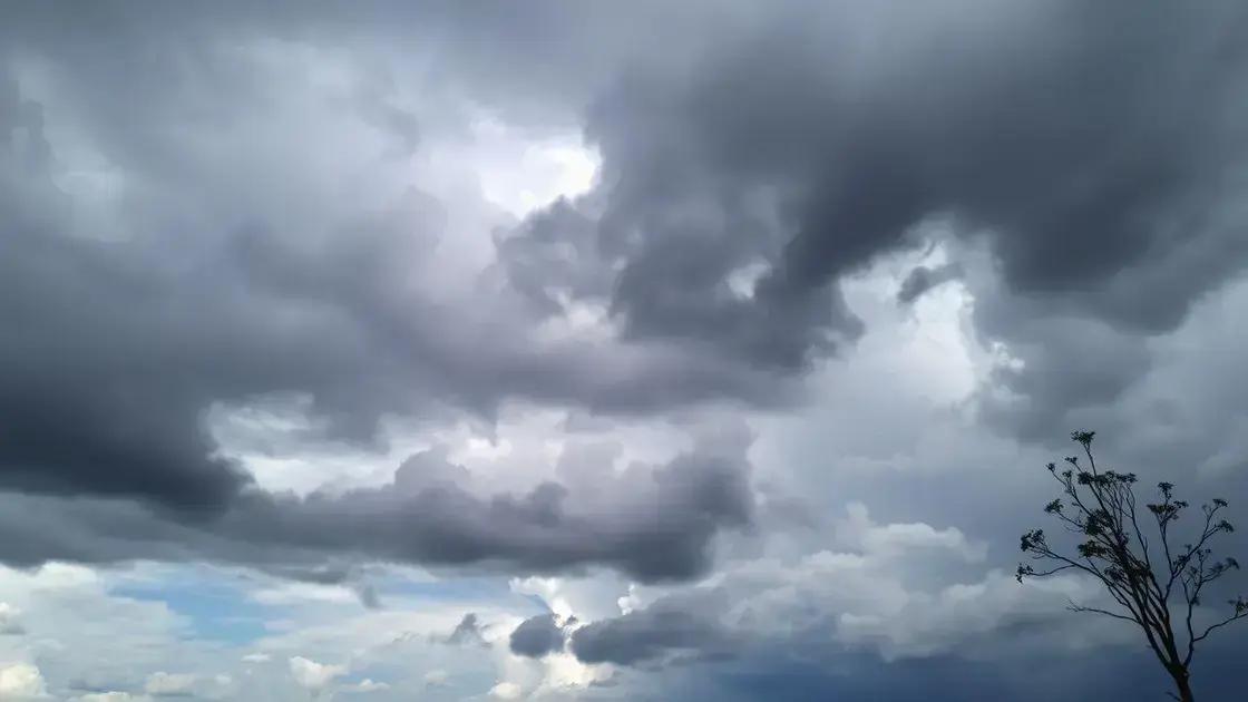 Chuva prevista ameniza déficit hídrico, mas não resolve situação das lavouras de soja