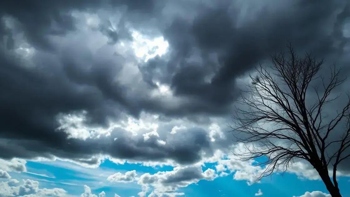 Chuva prevista: Reposição hídrica e tempo nas lavouras de soja no Brasil