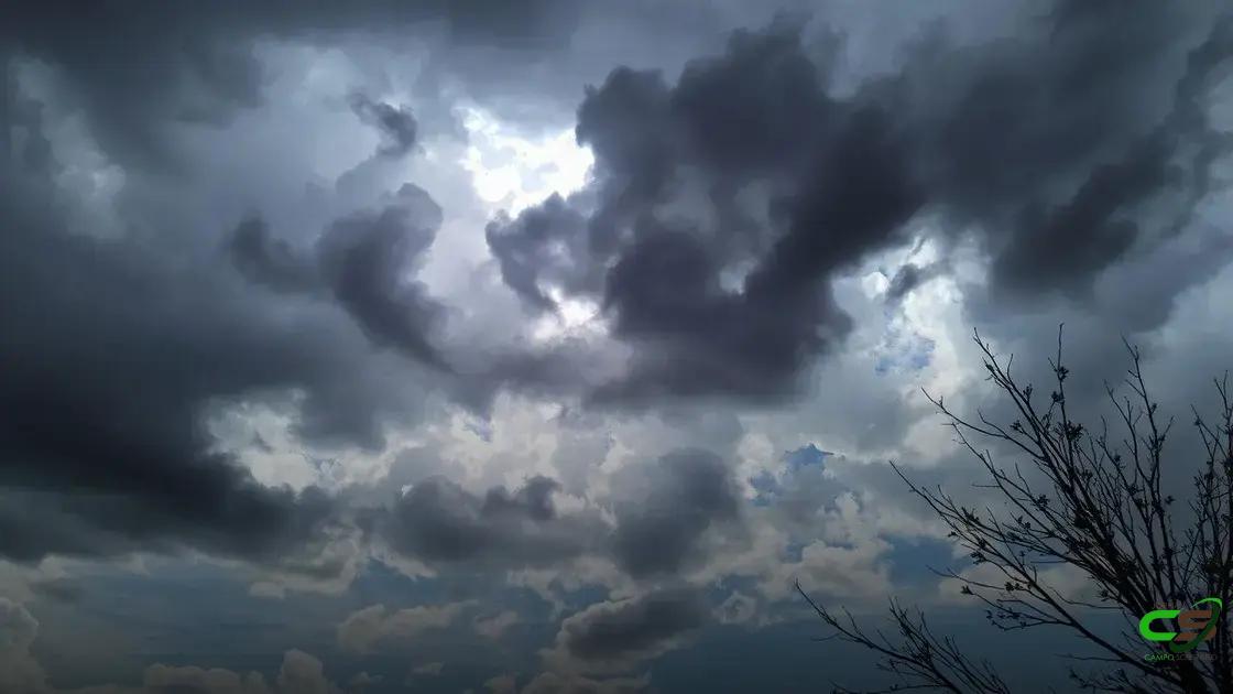 Chuva prevista traz alívio, mas não resolve déficit hídrico nas lavouras de soja