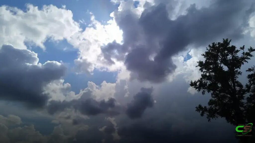 Chuva prevista traz alívio, mas não resolve déficit hídrico nas lavouras de soja