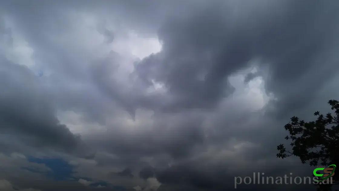 Chuva prevista traz alívio pontual, mas solo ainda sofre com déficit hídrico nas lavouras de soja