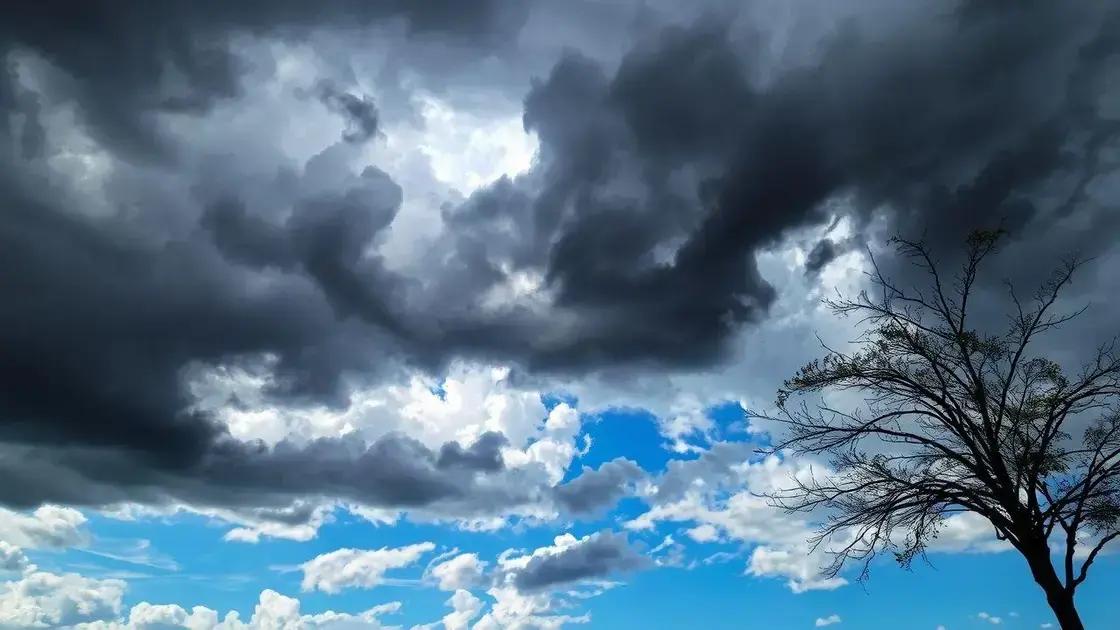 Chuva prevista traz alívio temporário, mas não reverte déficit hídrico nas lavouras de soja