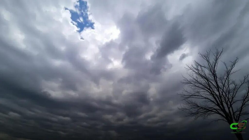 Chuva prevista traz alívio temporário, mas solo de soja ainda sofre com déficit hídrico