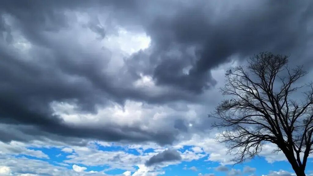 Chuva traz alívio pontual, mas solo de soja ainda sofre déficit hídrico