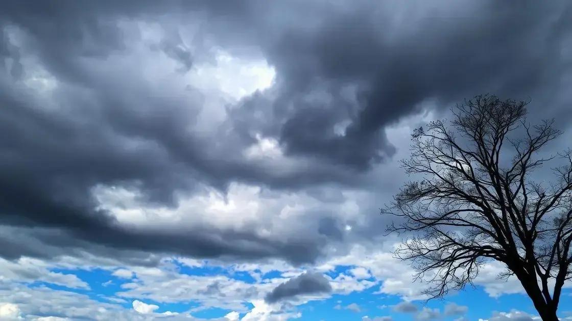 Chuva traz alívio pontual, mas solo de soja ainda sofre déficit hídrico