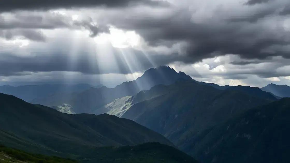 Chuvas no Norte garantem pastagens e favorecem pecuária em Rondônia