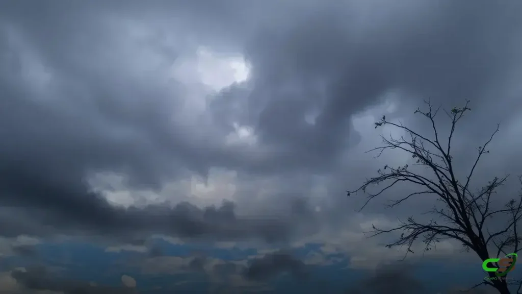 Com chuvas pontuais, cenário hídrico no Brasil ainda desafia produtores de soja