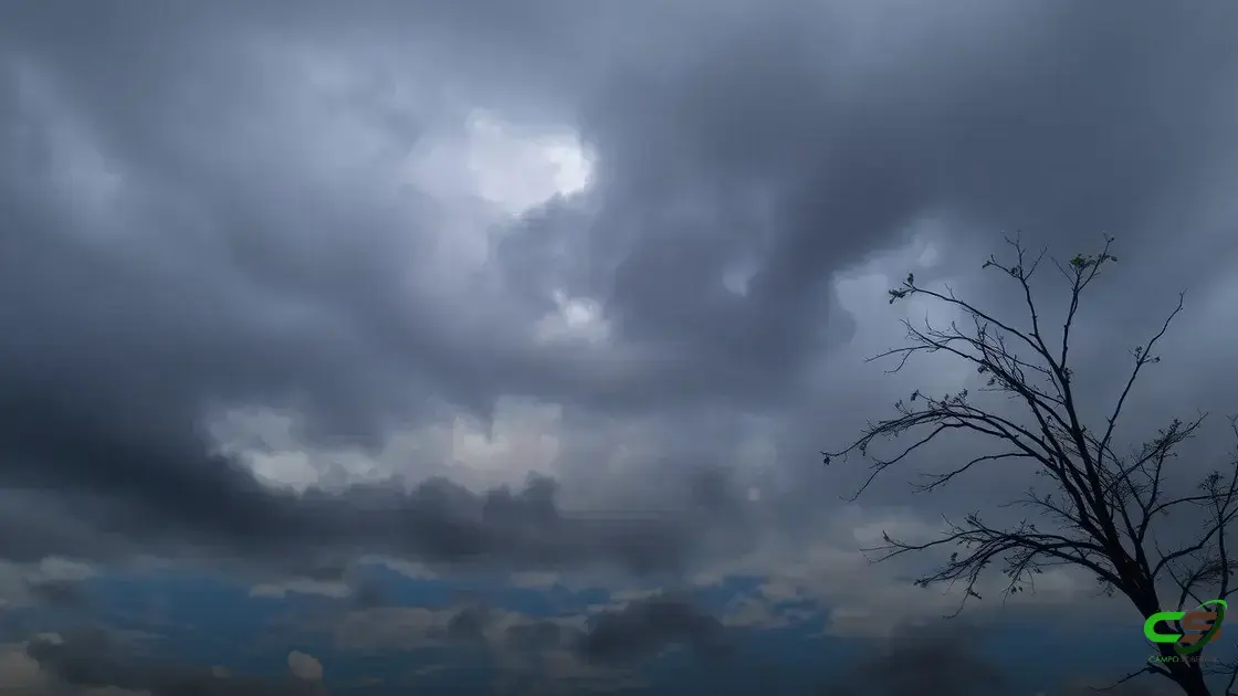 Com chuvas pontuais, cenário hídrico no Brasil ainda desafia produtores de soja