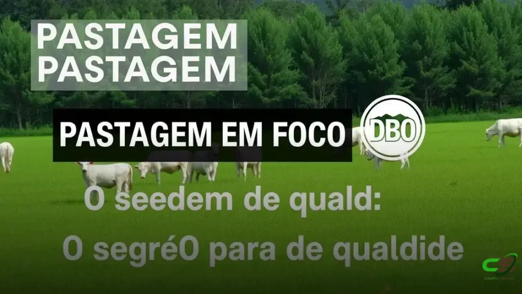 Como o ciclo das plantas forrageiras transforma o planejamento do seu pasto 2 Como o ciclo das plantas forrageiras transforma o planejamento do seu pasto