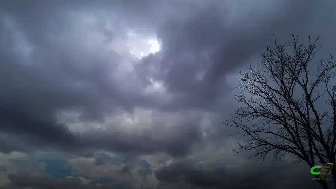 Déficit hídrico nas lavouras de soja: chuva prevista será suficiente?