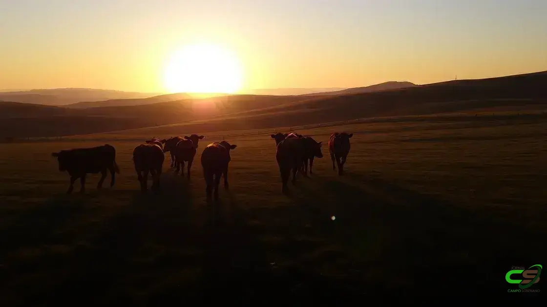 EUA ameaçam interromper importações de gado do México e impactam mercado pecuário