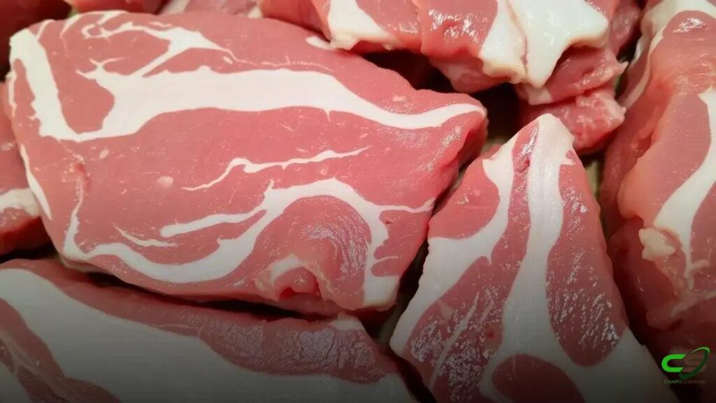 Exportação de carne bovina do Brasil bate novo recorde de vendas em abril de 2025