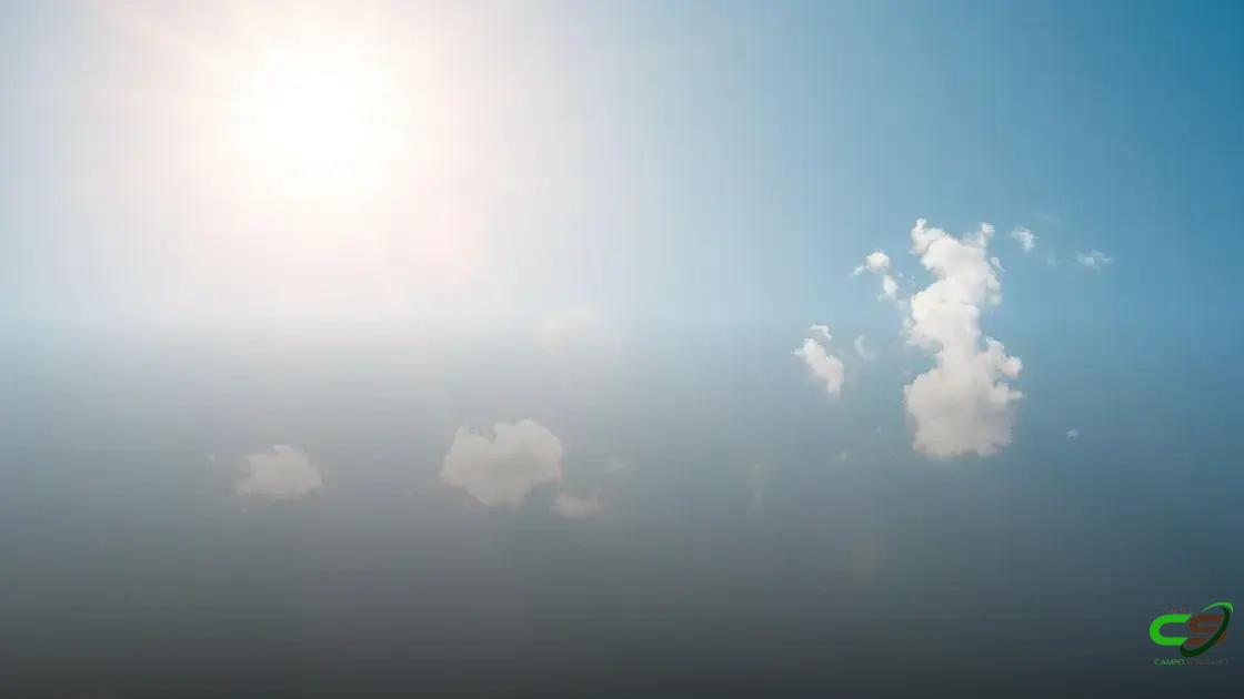 Falta de chuva persiste em regiões produtoras de soja: veja a previsão do tempo