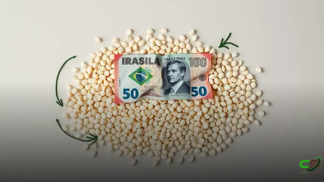 Governo aprova prorrogação de dívidas e renegociações no Rio Grande do Sul