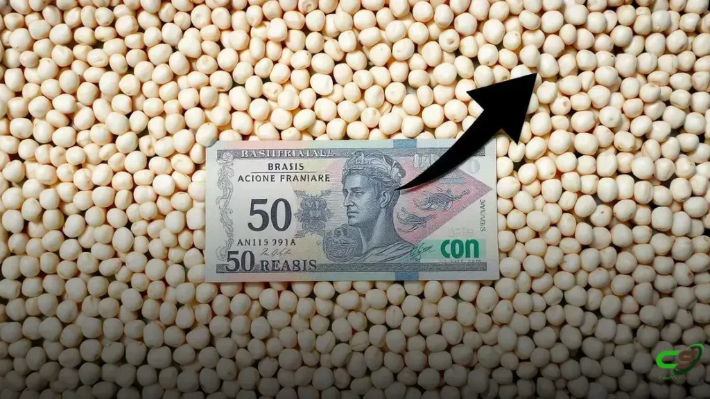 Governo aprova renegociação de dívidas dos produtores do RS em meio a crises climáticas