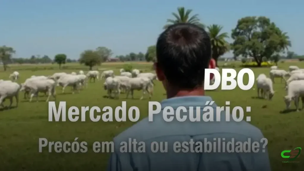Maio e o futuro da arroba do boi: surpreenderá ou vai travar?