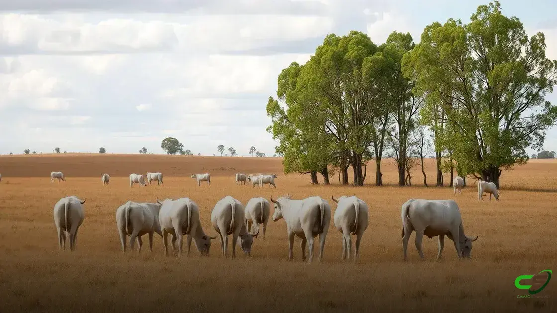 Medidas de proteção contra hipotermia para o gado durante ondas de frio extremas Medidas de proteção contra hipotermia para o gado durante ondas de frio extremas