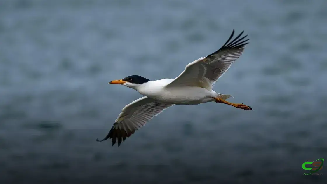 Minas Gerais declara emergência após caso de gripe aviária em aves ornamentais
