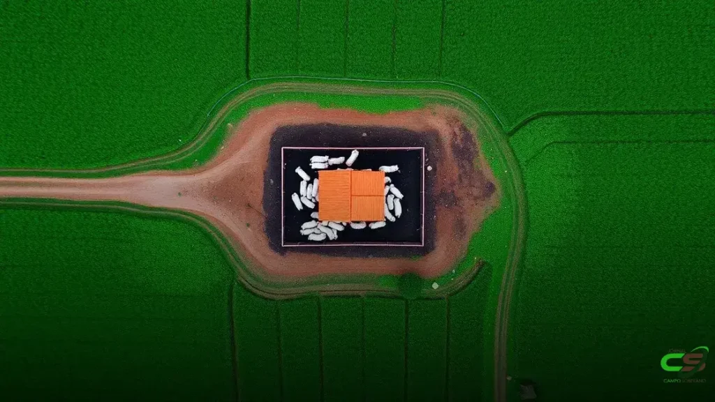 Operação retira gado criado ilegalmente em território indígena no Maranhão