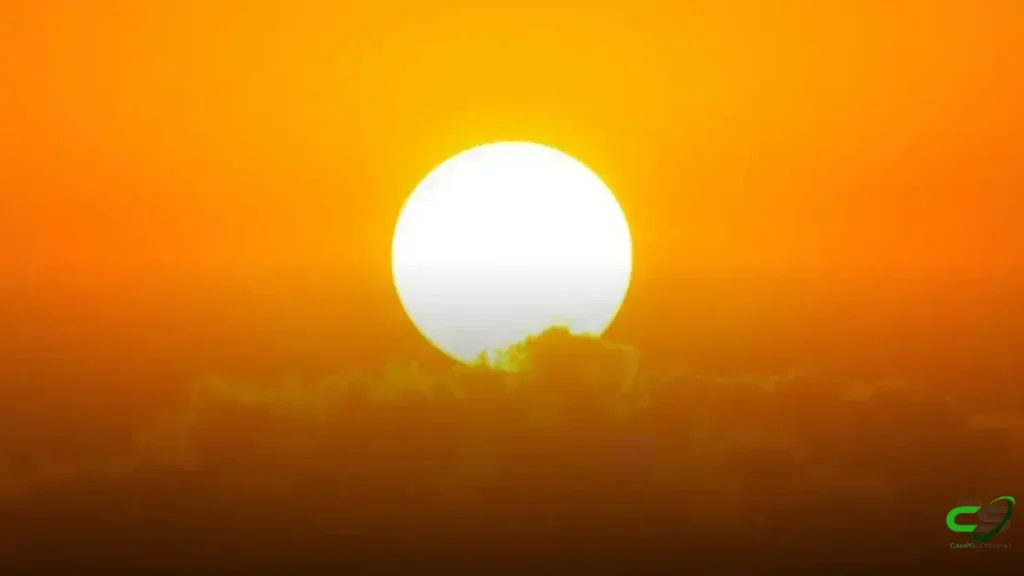 Outono Quente e Seco Exige Cuidados Redobrados na Pecuária Brasileira