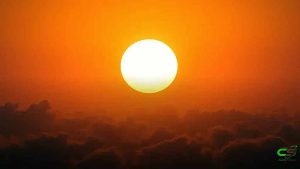 Outono quente e seco no pasto: cuidados essenciais para o gado no Brasil Central