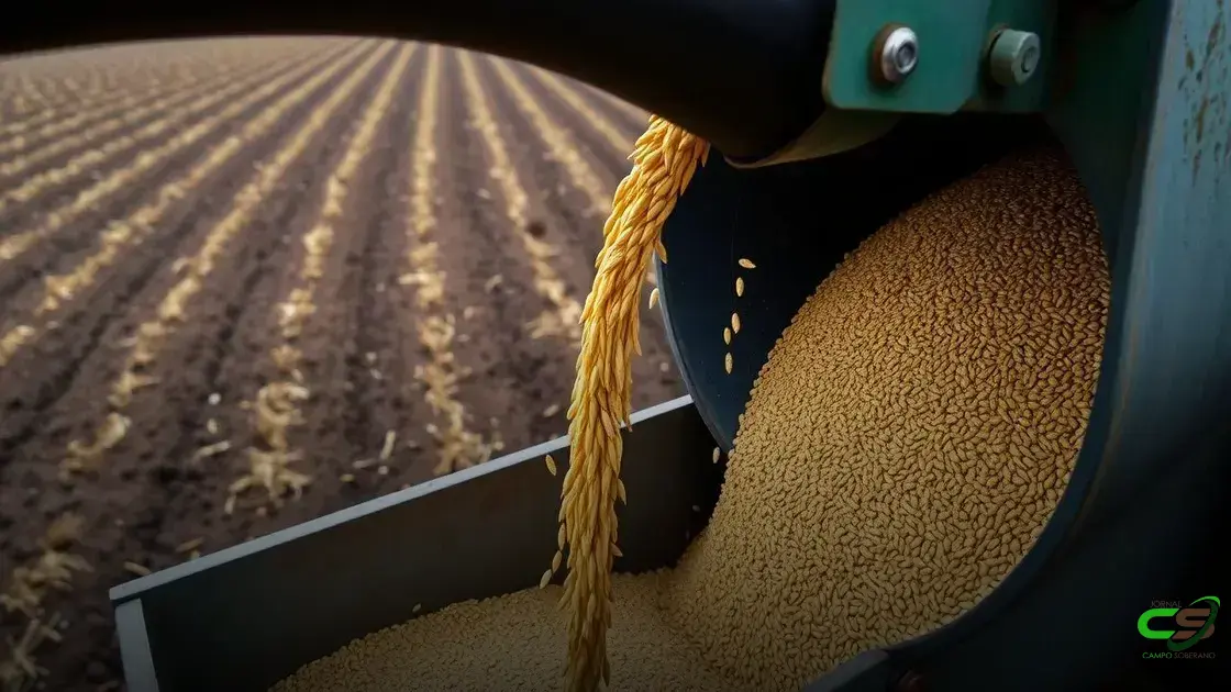 Portaria define períodos de vazio e semeadura para soja 2025/26