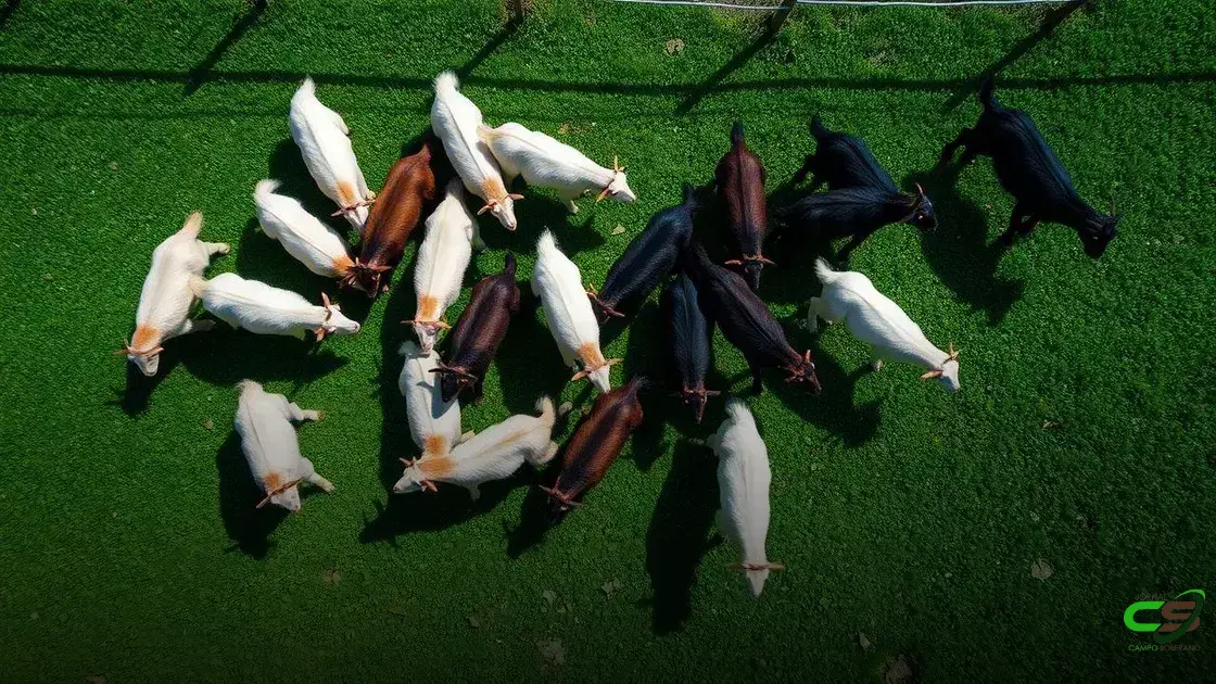 Preço do boi gordo, bezerro, milho e soja em abril de 2018 a 2025: evolução e dados