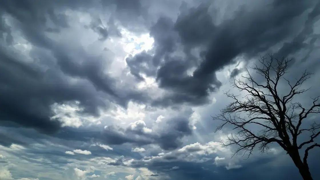 Previsão de chuva nas lavouras de soja: alívio pontual, mas déficit persiste