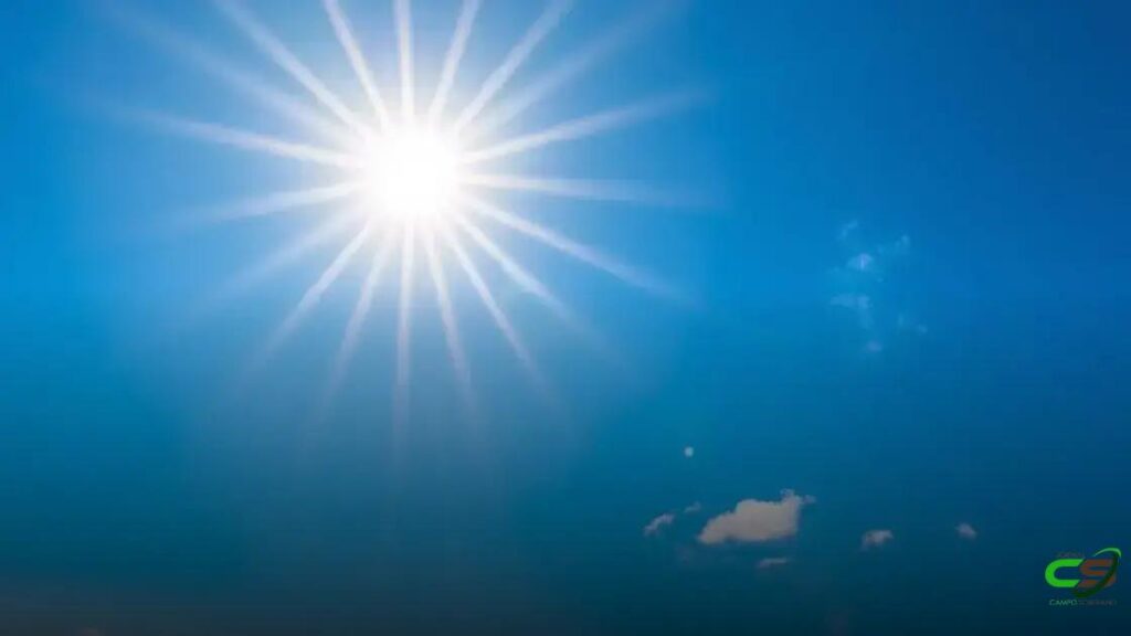 Previsão indica falta de chuva em duas regiões produtoras de soja no Brasil 2 Previsão indica falta de chuva em duas regiões produtoras de soja no Brasil