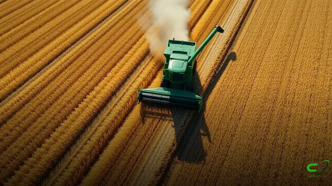 Safra de soja no Brasil está quase concluída, aponta Conab