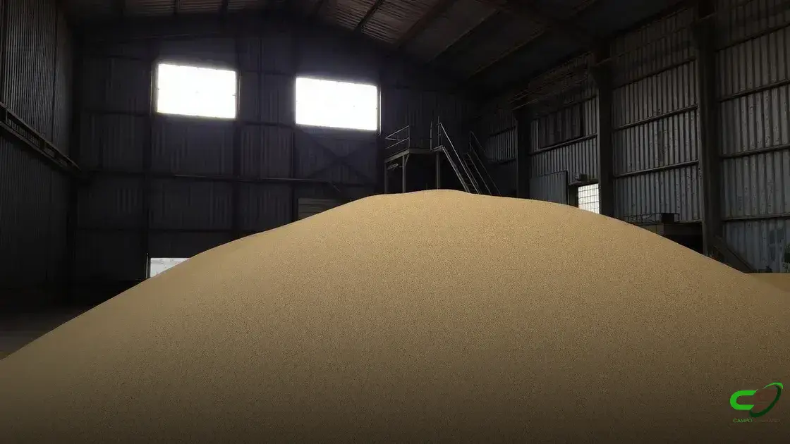 Segurança em silos de grãos: alertas e medidas necessárias para socorrer vidas