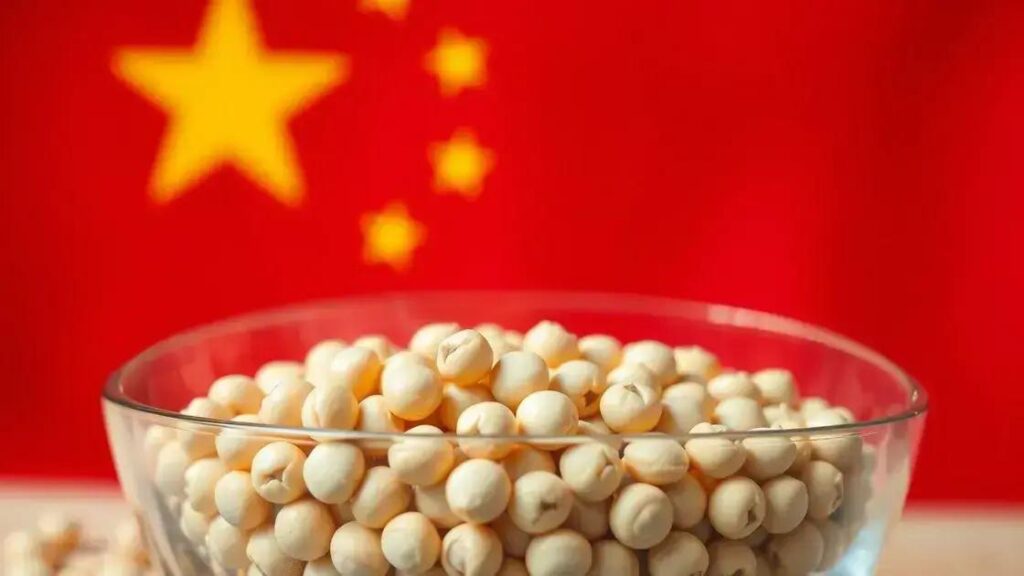 Soja brasileira ganha destaque após queda nas compras dos EUA pela China